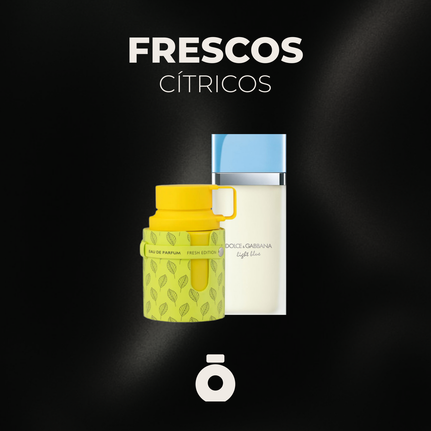 Perfumes Frescos - Cítricos - Noir Perfumeria